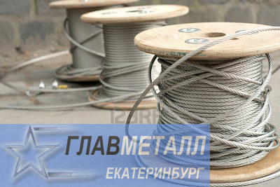   : 25,0