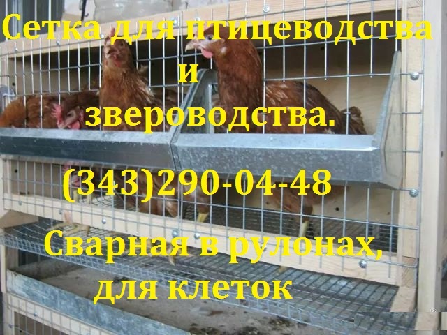 ����� ������� ������������ 25�12,5�1,6 ����� 1,725�118�.
