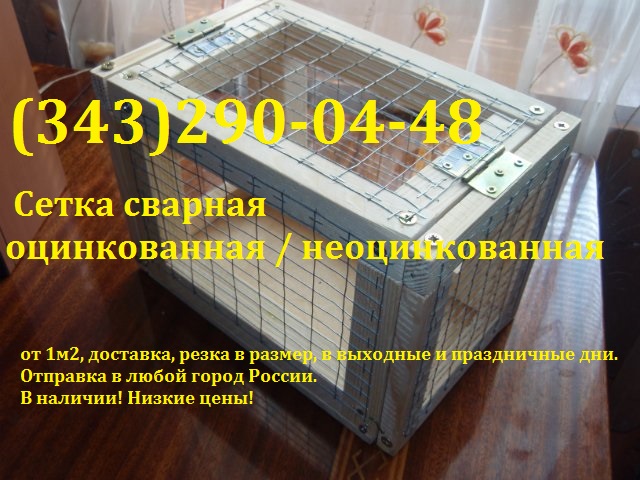���� ����� 12�2����  