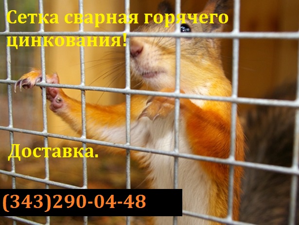 ����� ������� ������������ 25�50�1,6 ����� 1�50�.